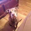 charlieb622